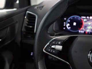 SKODA Karoq 2.0 tdi evo executive 115cv dsg