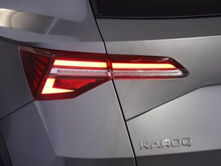 SKODA Karoq 2.0 tdi evo executive 115cv dsg