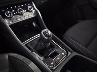 SKODA Karoq 2.0 tdi evo selection 115cv