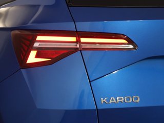 SKODA Karoq 2.0 tdi evo selection 115cv
