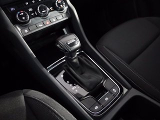 SKODA Karoq 2.0 tdi evo executive 115cv dsg