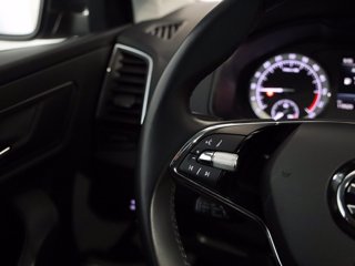 SKODA Karoq 2.0 tdi evo executive 115cv dsg