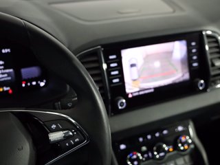 SKODA Karoq 2.0 tdi evo executive 115cv dsg