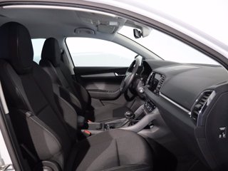 SKODA Karoq 2.0 tdi evo executive 115cv dsg