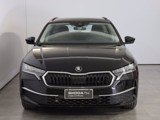 SKODA Octavia wagon 2.0 tdi executive 150cv dsg