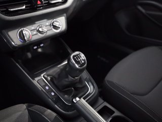 SKODA Fabia 1.0 tsi evo style 95cv
