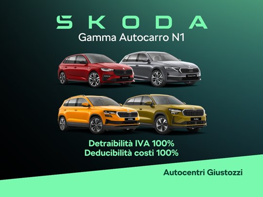Škoda Autocarro N1 per Professionisti e Aziende